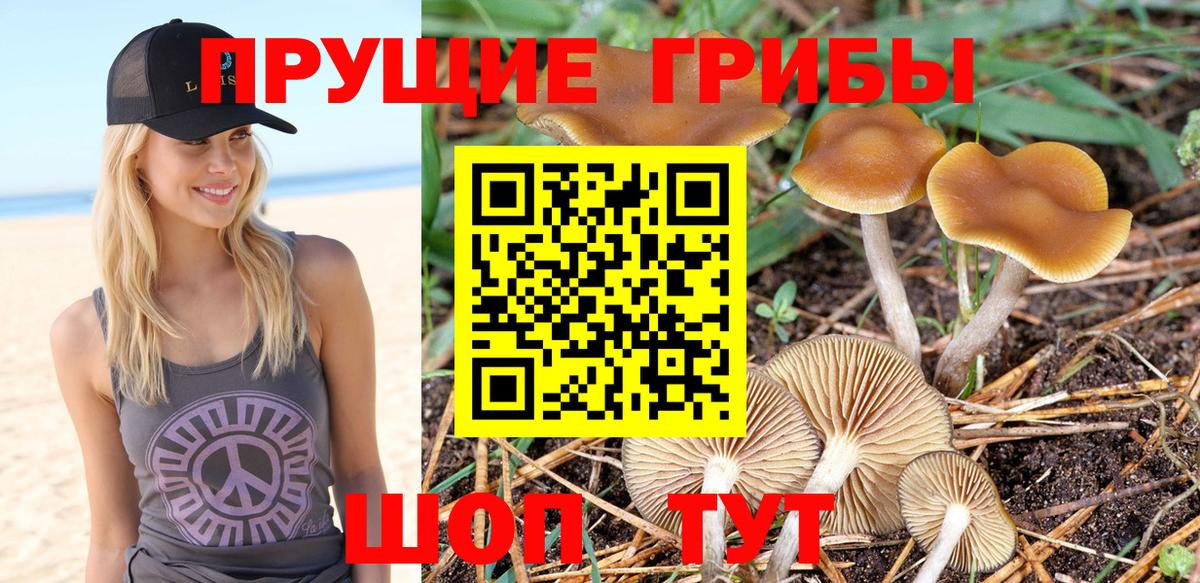 Галлюциногенные грибы прущие грибы Нижневартовск