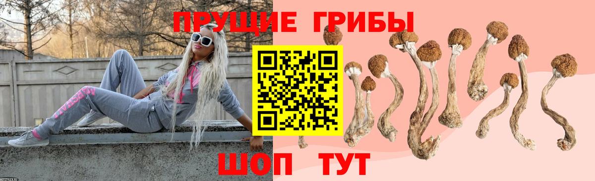 Нижневартовск  Псилоцибиновые грибы Cubensis  Вход с VPN 